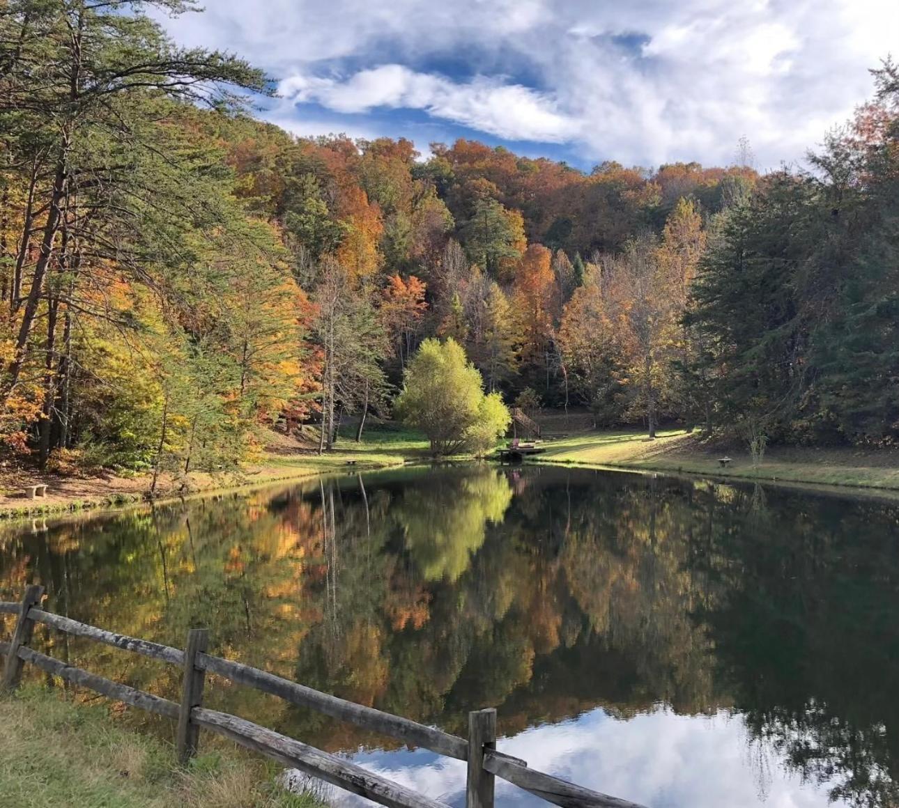 Villa Yoli Bear Hideaway Sevierville Exterior foto